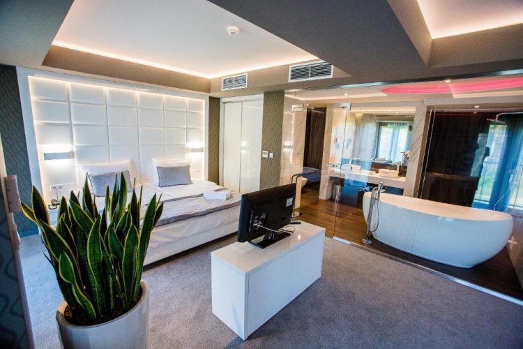 Deluxe Suite with view