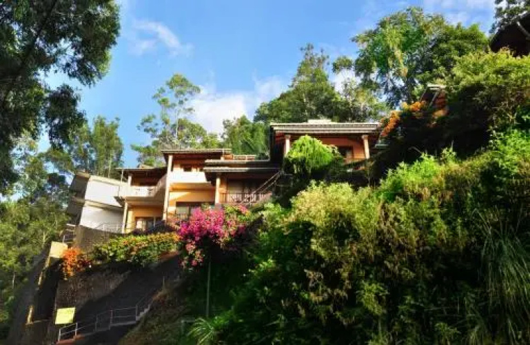 Sky Green Resort