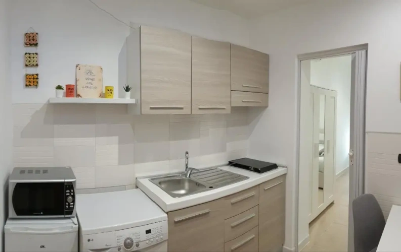 1 Bedroom Basement Apartment