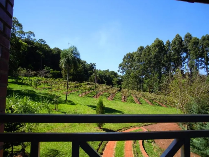 Bungalow with view