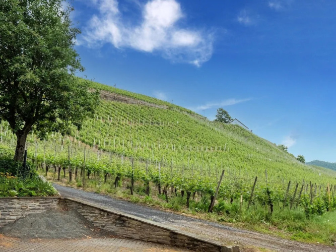 Exceptional Holiday Flat in Kinheim