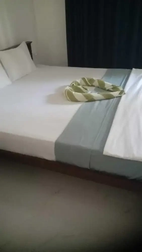 Deluxe Double room with garden view