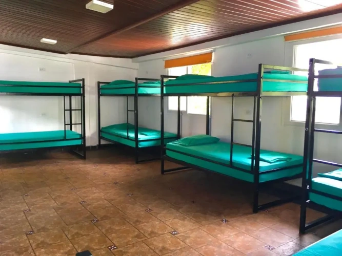 Bed in Dorm