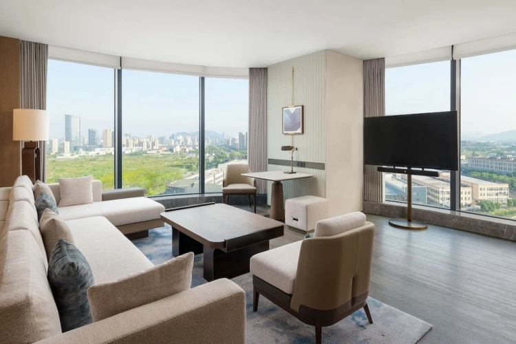 Deluxe Double Suite with city view