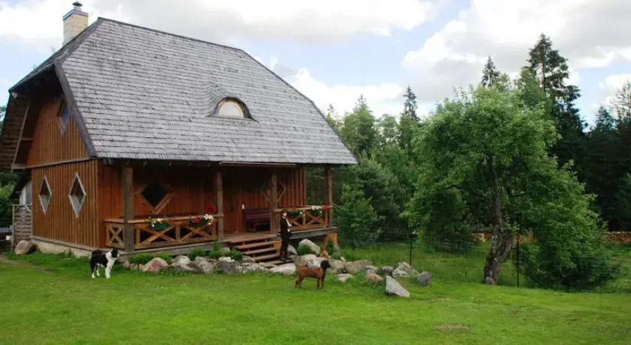 BirdWatch-Lithuania