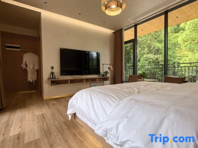 Standard Double room with courtyard view