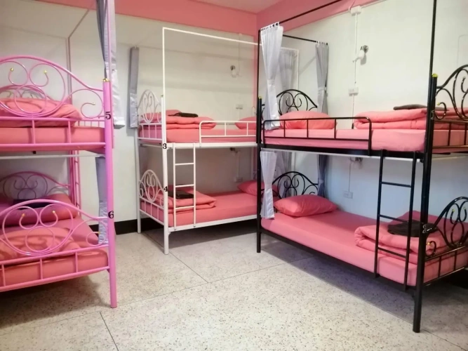 Bed in Dorm (female dorm)