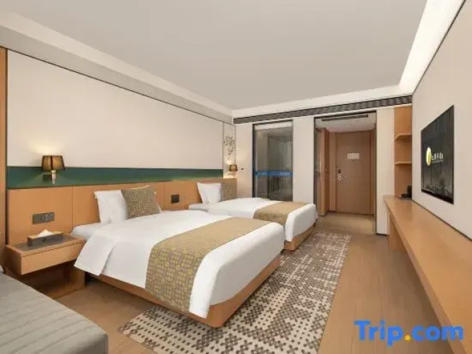Standard Double room with city view