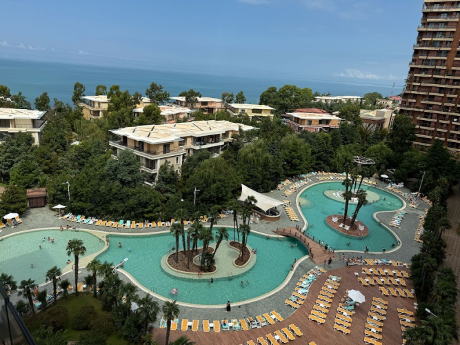 Dreamland Oasis