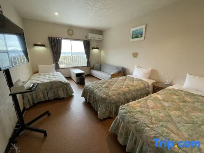 Standard Double Family room with sea view
