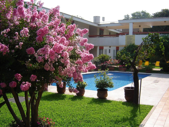 Hotel Isabel photo 19