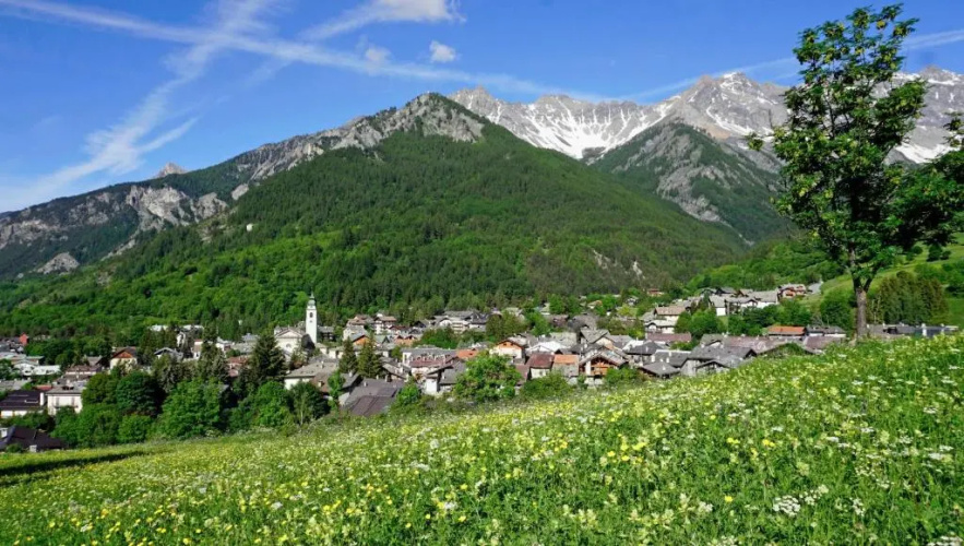 Casaborgovecchio Larice