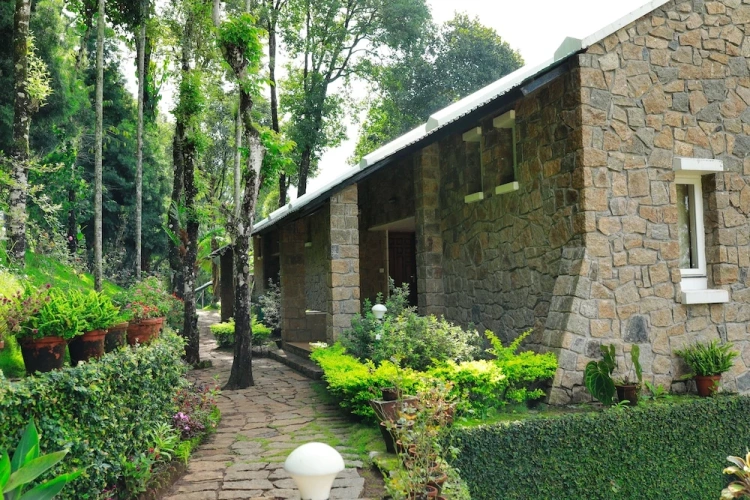 1 Bedroom Luxury room with land view
