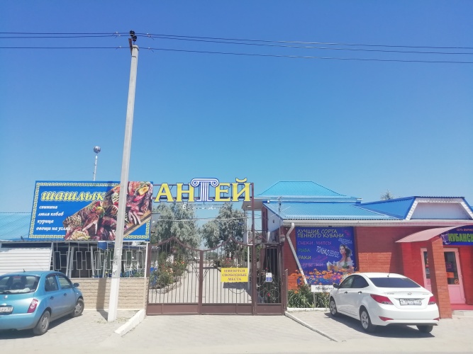 Antej