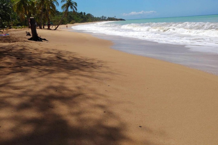 Beach