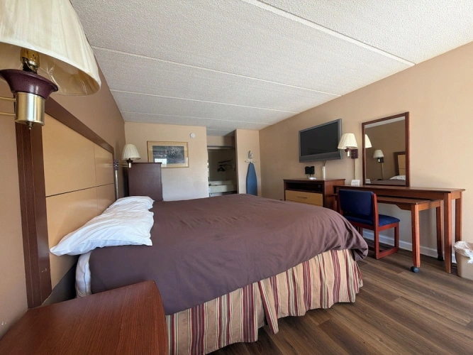 Economy Single room