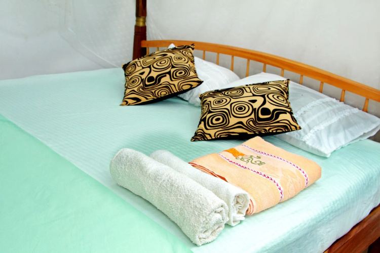 Blue star villa