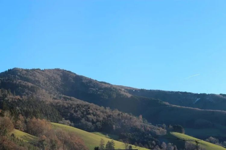 Gasthaus Zur Linde