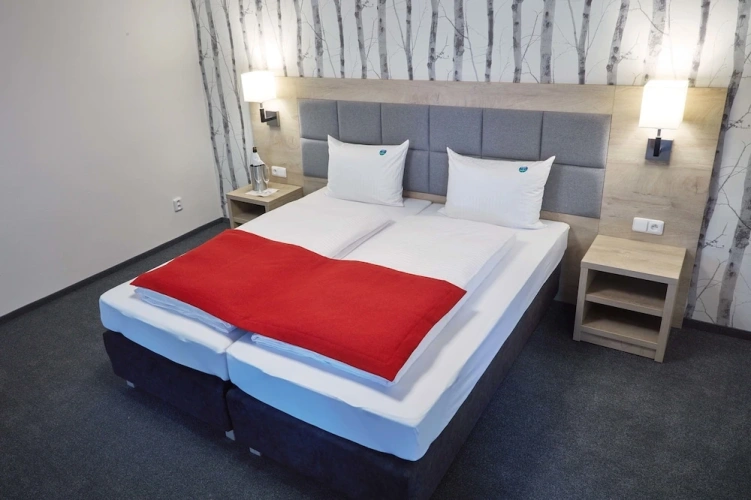 Comfort Double room with garden view