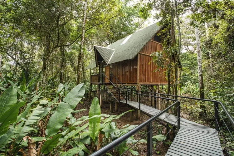 Deluxe Bungalow
