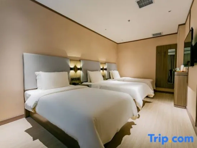 Twin Suite