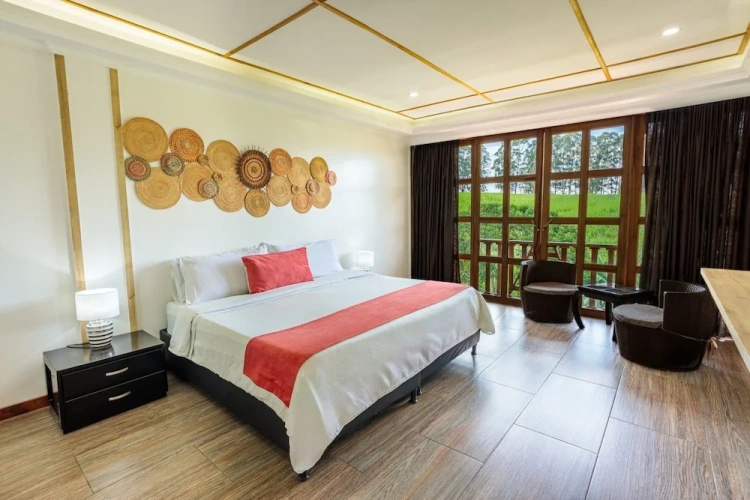 Superior Double room with mountain view