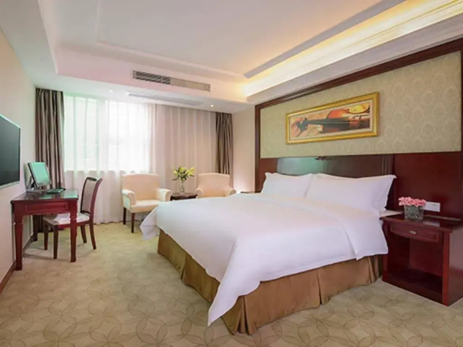 Vienna Hotel