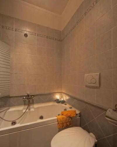 Deluxe Single room