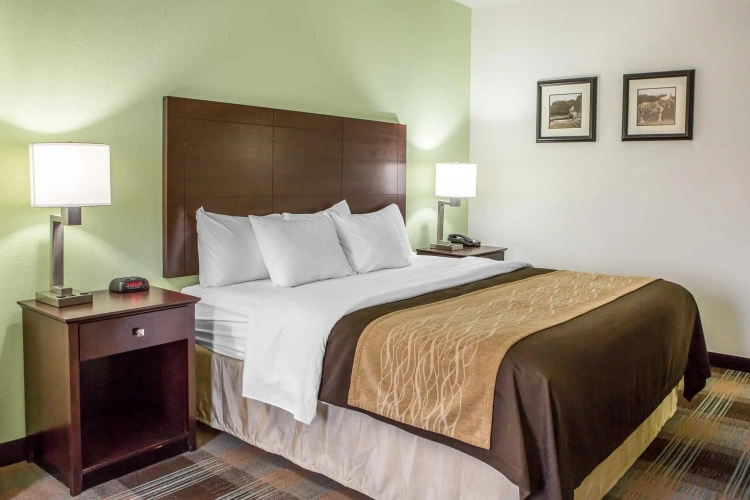 Standard room