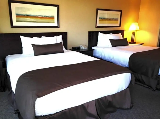 Quadruple Suite