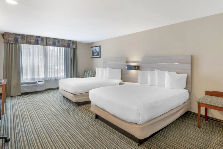 Quadruple Suite
