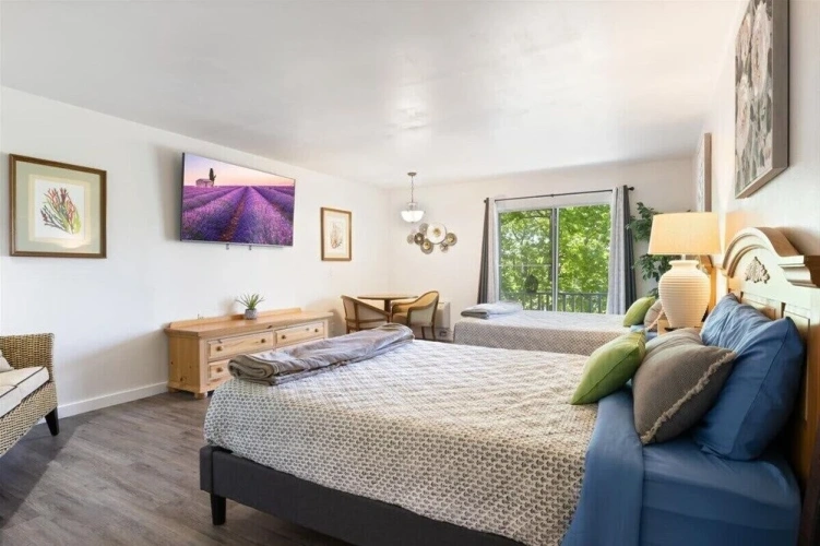 Guest rooms