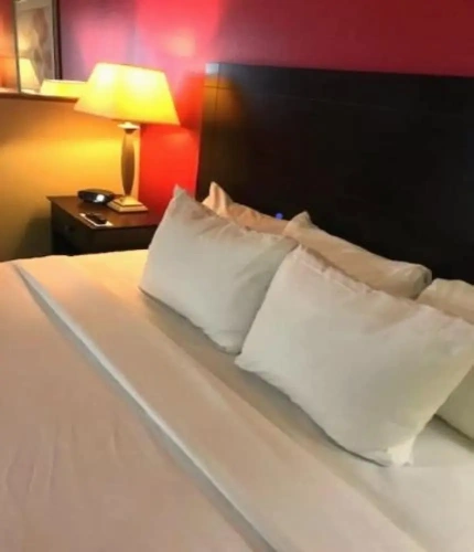 Business Double Suite