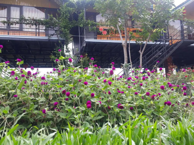 Areca Bungalow