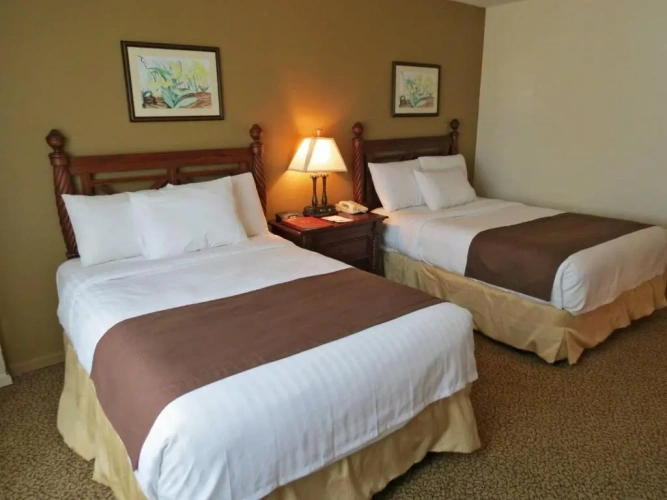 Superior Double room