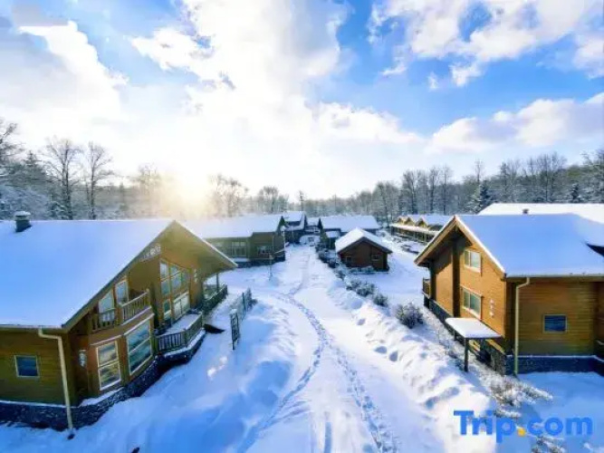 ChangBai Mountain Pine&Birch Villa