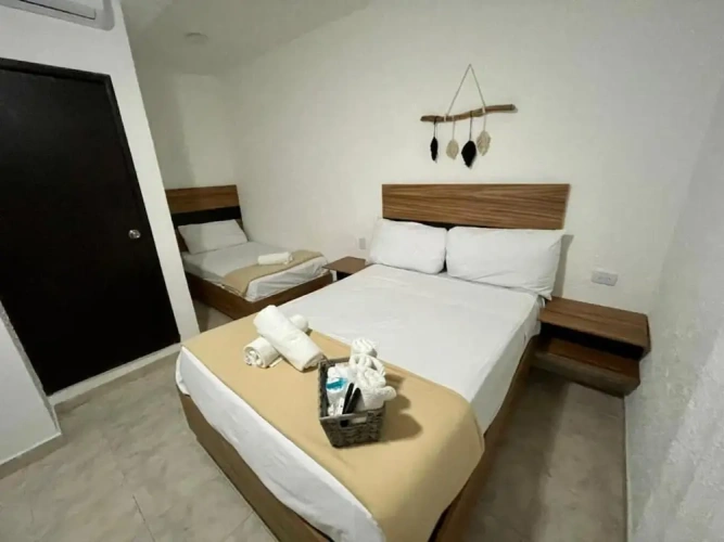 Single Suite