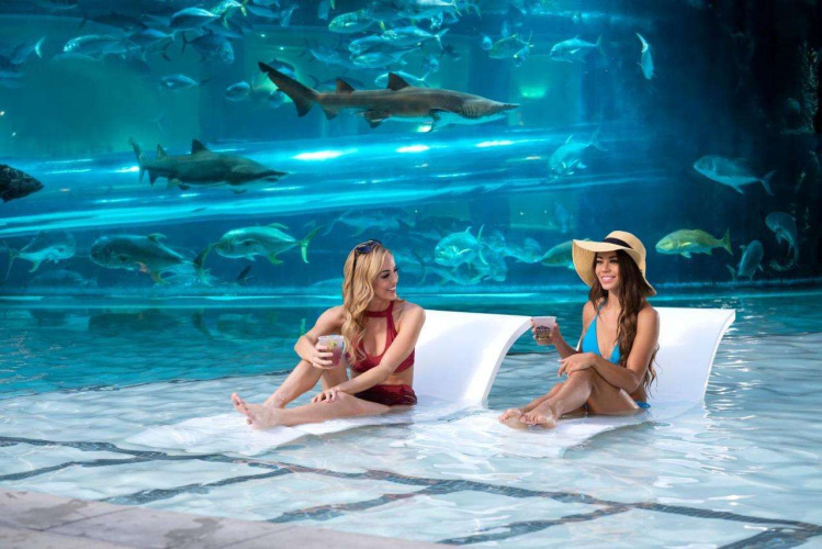 Golden Nugget Hotel & Casino photo 35