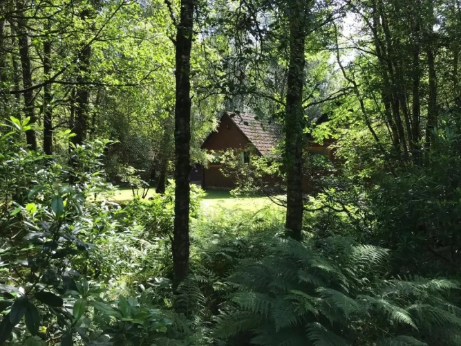 1 Bedroom Chalet with garden view