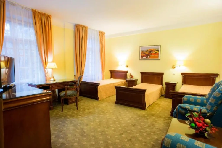 Deluxe Triple room