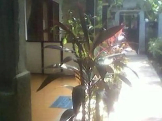 Pitara Cottage