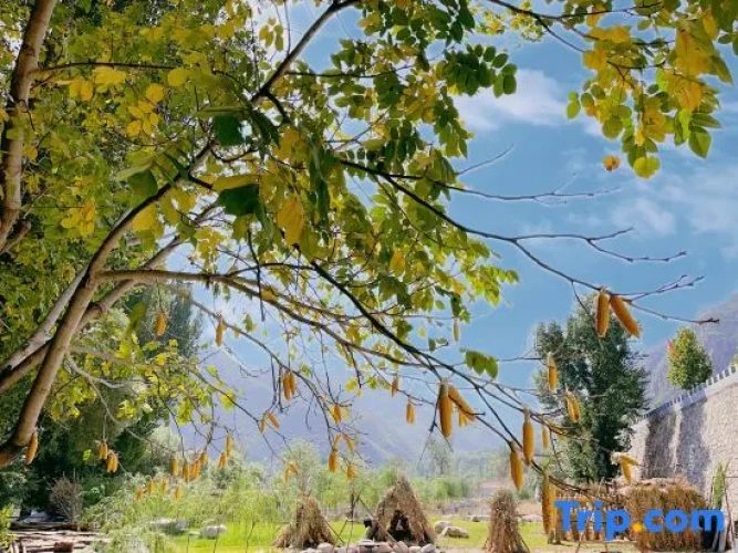 Outside