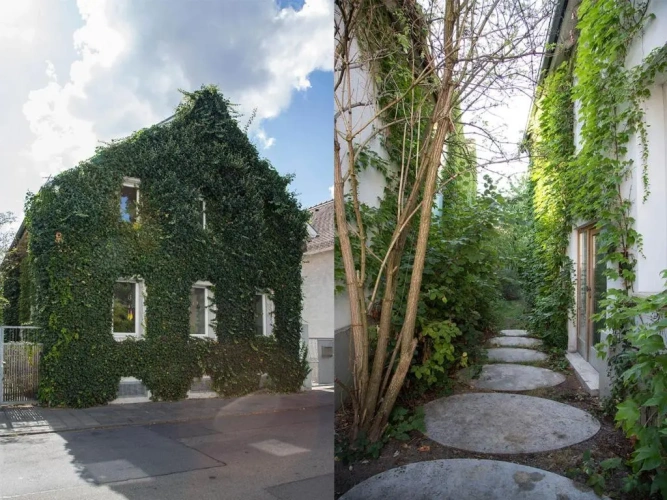 Villa with garden view