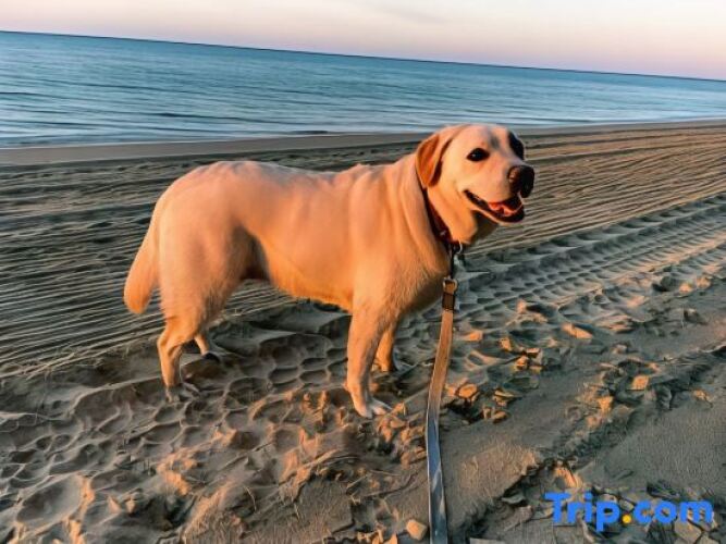 Torquay Terrace B&BOver view