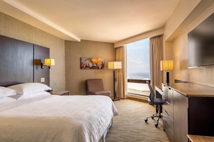 Deluxe Double room with city view