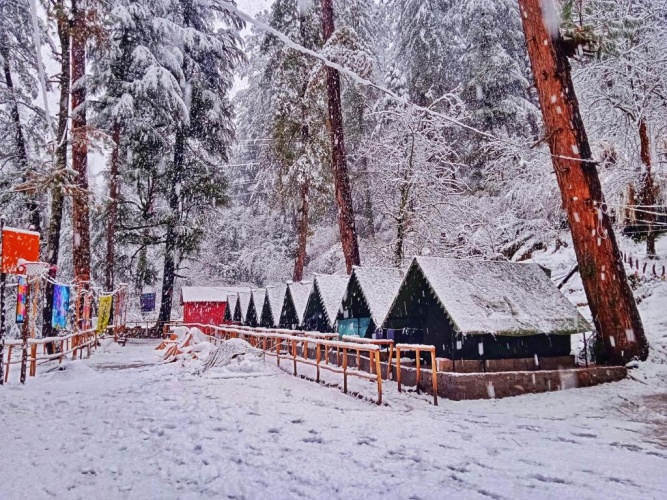 Tent