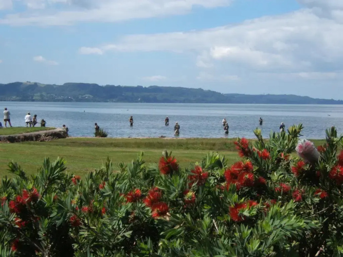 Ngongotaha Lakeside Lodge