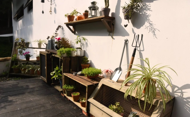 Reindeer Taichung Herb House
