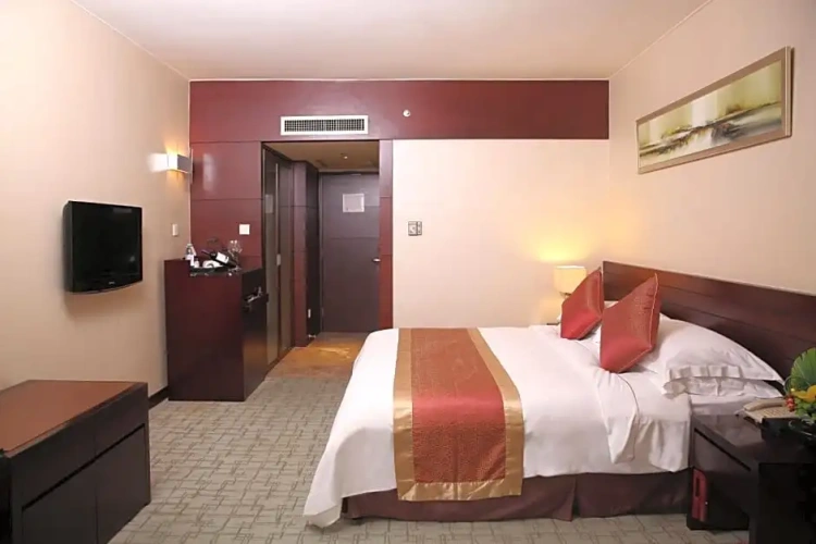 Executive Double Club room with view