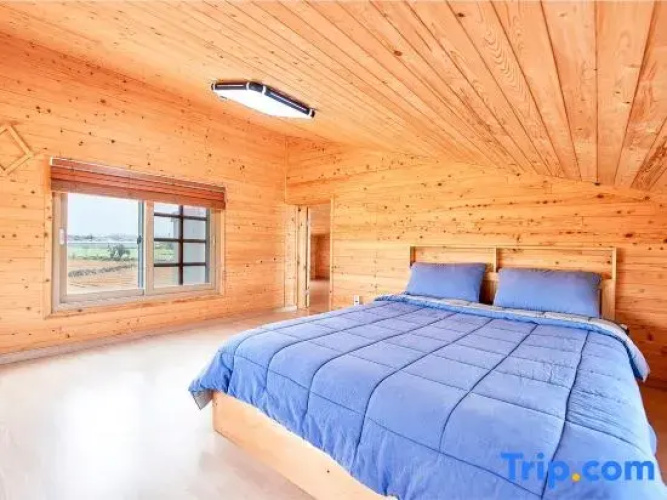 Stay In Jeju